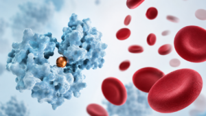 Lactoferrin: Wirkung bei Eisenmangel & für das Immunsystem